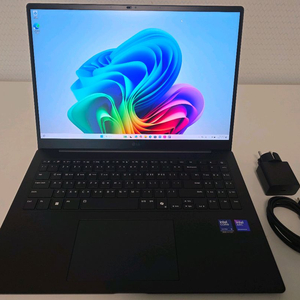 2025 LG 그램 프로 16 메타그레이, 루나레이크