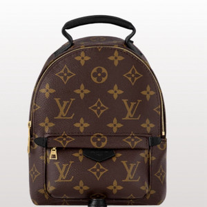 루이비통 미니 백팩