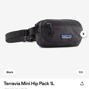 파타고니아 테라비아 미니 힙팩 블랙