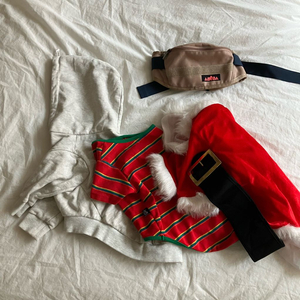 중형견 강아지 옷 3종과 힙색 일괄