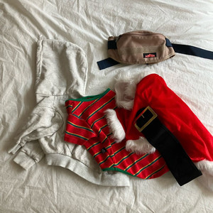 중형견 강아지 옷 3종과 힙색 일괄