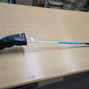 데이비드골프 여성용 woody iron L 17도