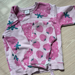 110호 여아 기모 상하복, 자라 키즈116