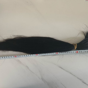 인모 머리카락 이미지