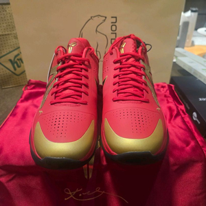 농구화 레드/골드 컬러웨이