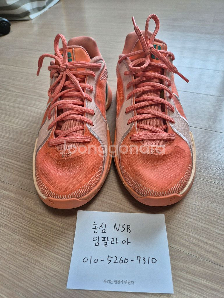 (w255 m250) 사브리나2 애프리콧--0