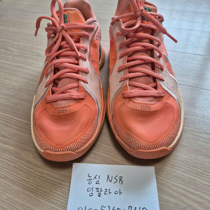 (w255 m250) 사브리나2 애프리콧