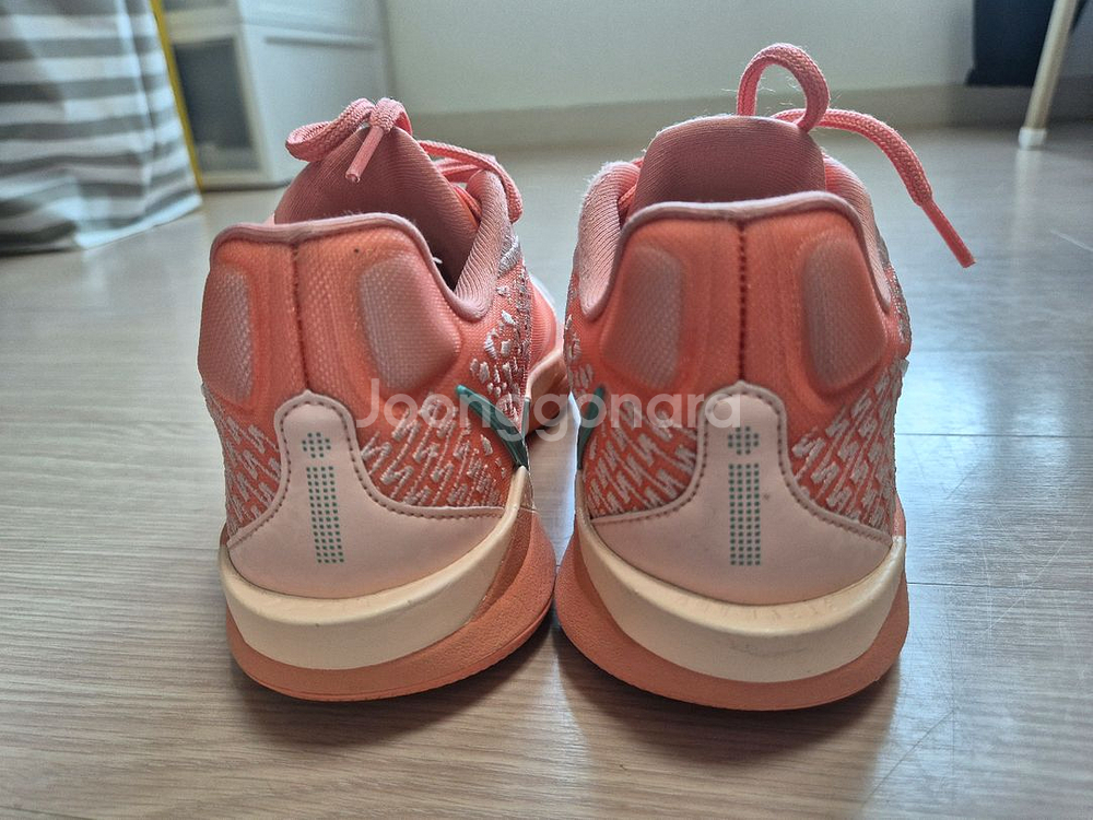 (w255 m250) 사브리나2 애프리콧--2