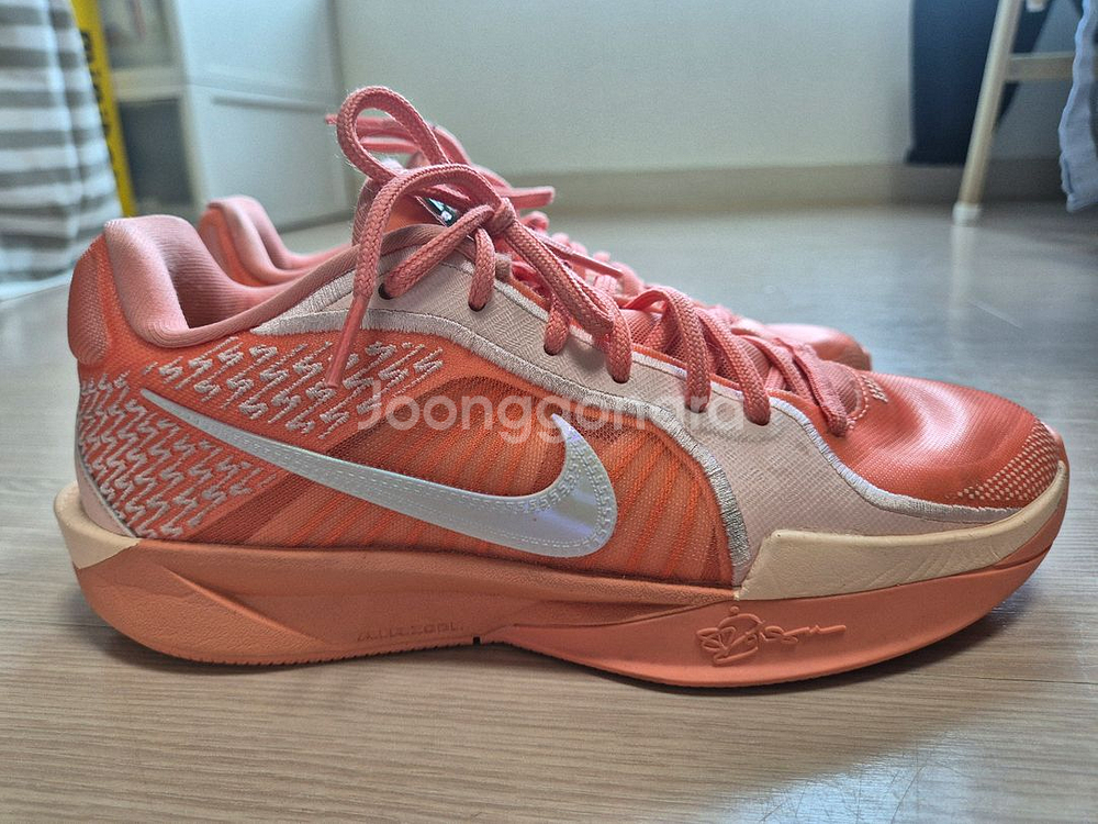 (w255 m250) 사브리나2 애프리콧--3