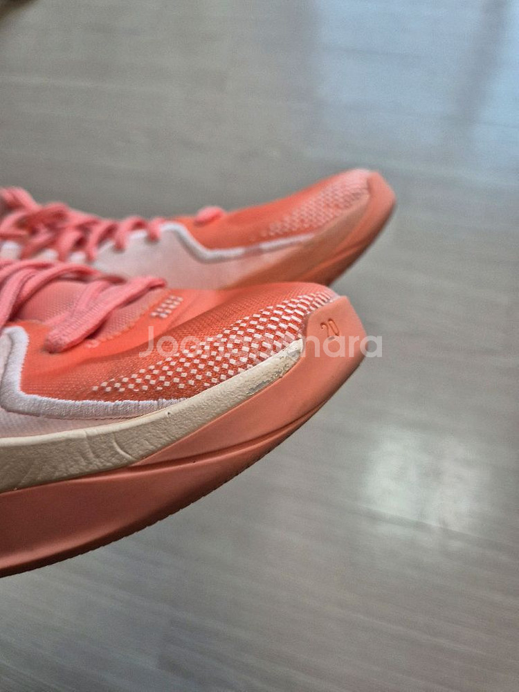 (w255 m250) 사브리나2 애프리콧--6