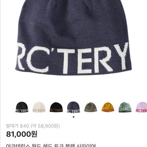 아크테릭스 월드 헤드토크 비니