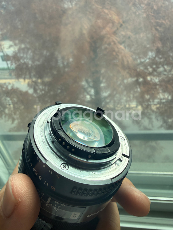 니콘 AF 50mm f/1.4 렌즈--2