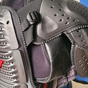 다이네즈(DAINESE) 오토바이 상체보호대 프로텍터 아머 프로2