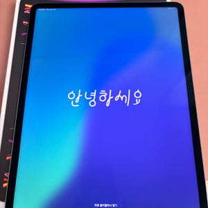 아이패드 프로 6세대 12.9 m2 128기가 스그 셀룰러