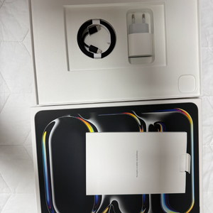 아이패드 프로 13인치 M4 셀룰러 512GB