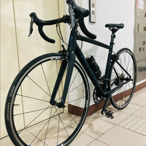 스페셜라이즈드 알레. 52사이즈 로드사이클.
