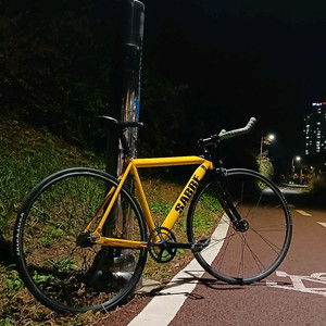 루이지노 사브레 픽시 판매/대차