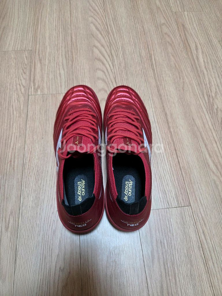 미즈노 모렐리아 살라 베타 255mm--1