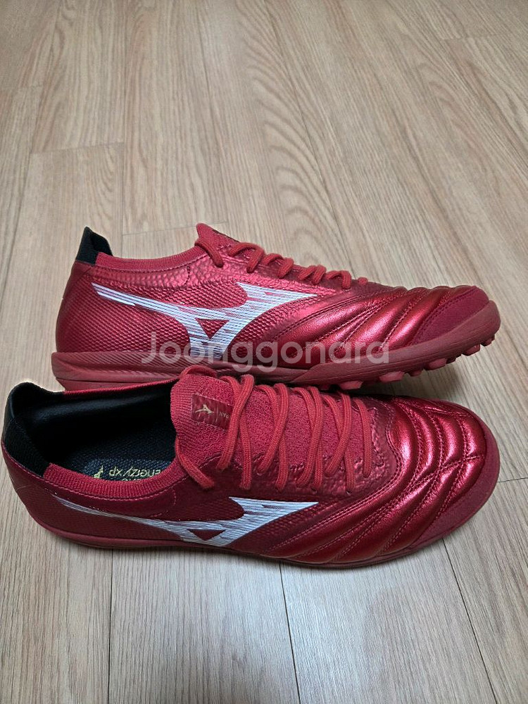 미즈노 모렐리아 살라 베타 255mm--2