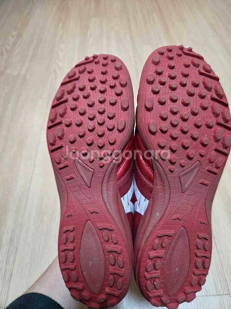 미즈노 모렐리아 살라 베타 255mm--3