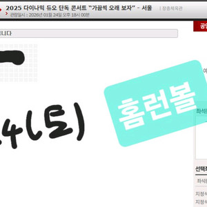 다듀 다이나믹 듀오 단독 콘서트 서울 양도합니다