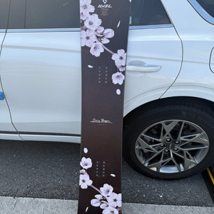 아벨 체리블라썸 162