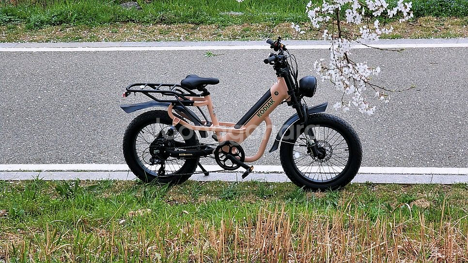 알톤 전기자전거 자토바이 코디악t20--2