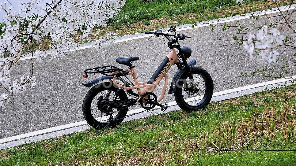 알톤 전기자전거 자토바이 코디악t20--3