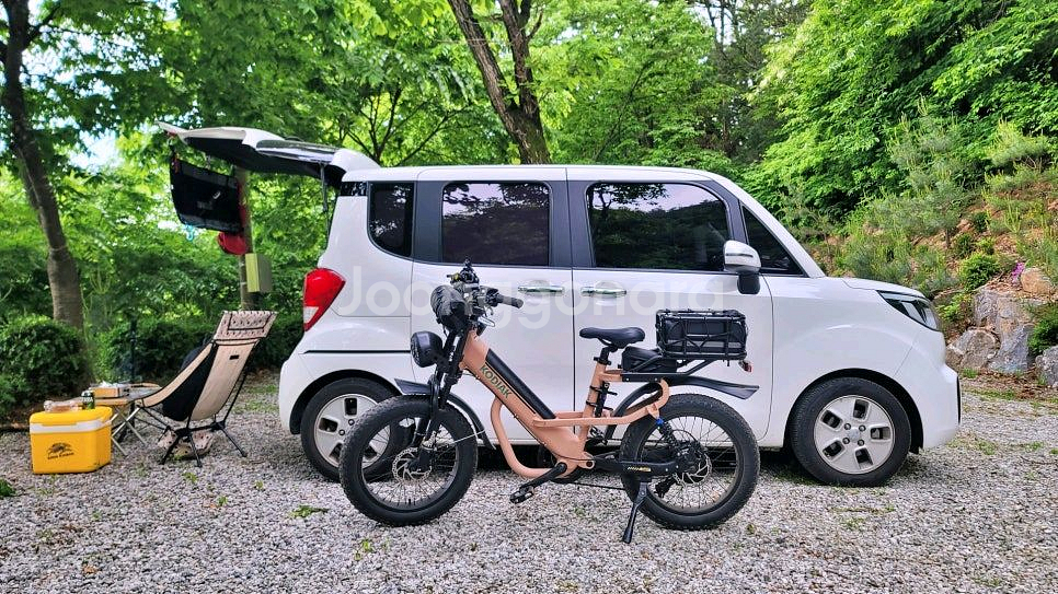 알톤 전기자전거 자토바이 코디악t20--4