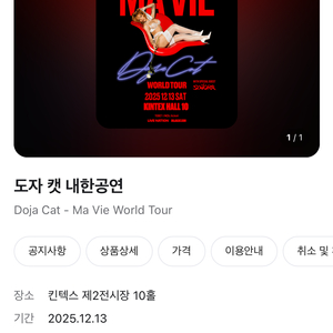 도자캣 내한공연 티켓