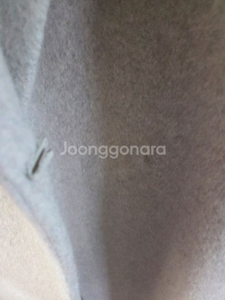 쉬즈미스 코트--1