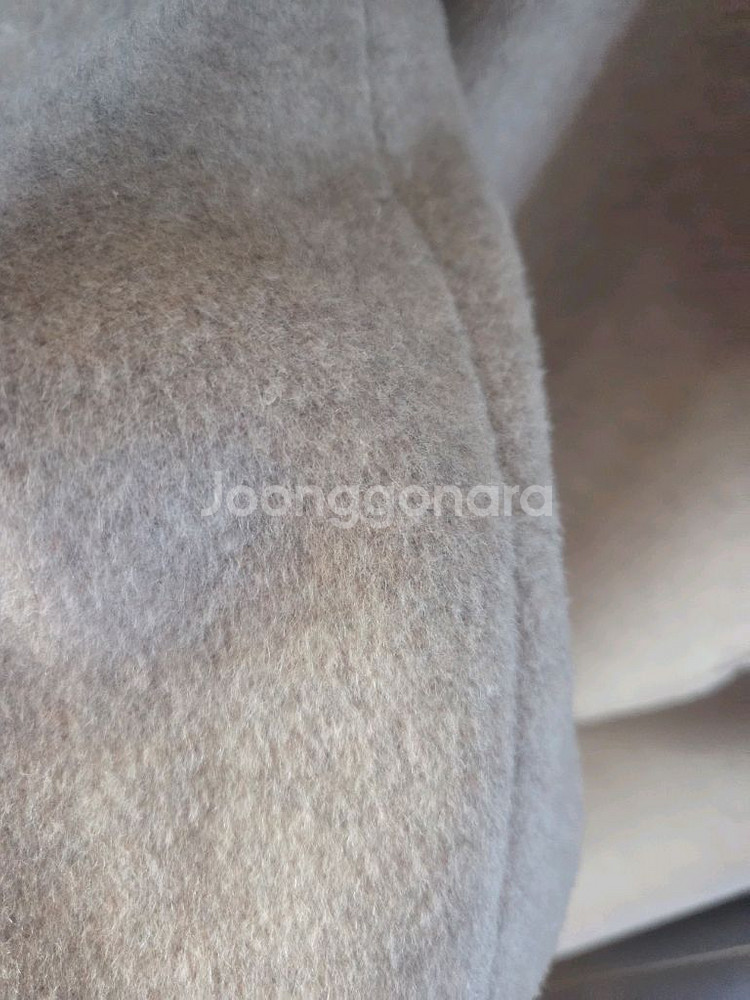 쉬즈미스 코트--6