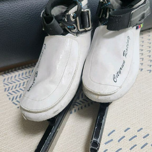 시티런 스케이트 225