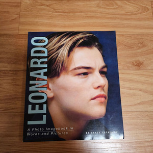 레오나르도 디카프리오 사진집