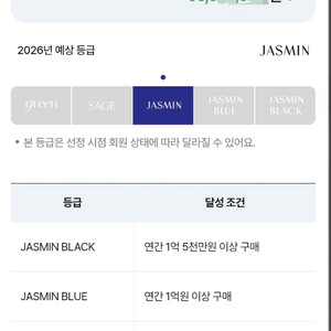 현대백화점 자스민 발렛 2026년