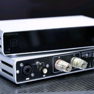 토핑 Topping B100 모노블럭 파워앰프 2개