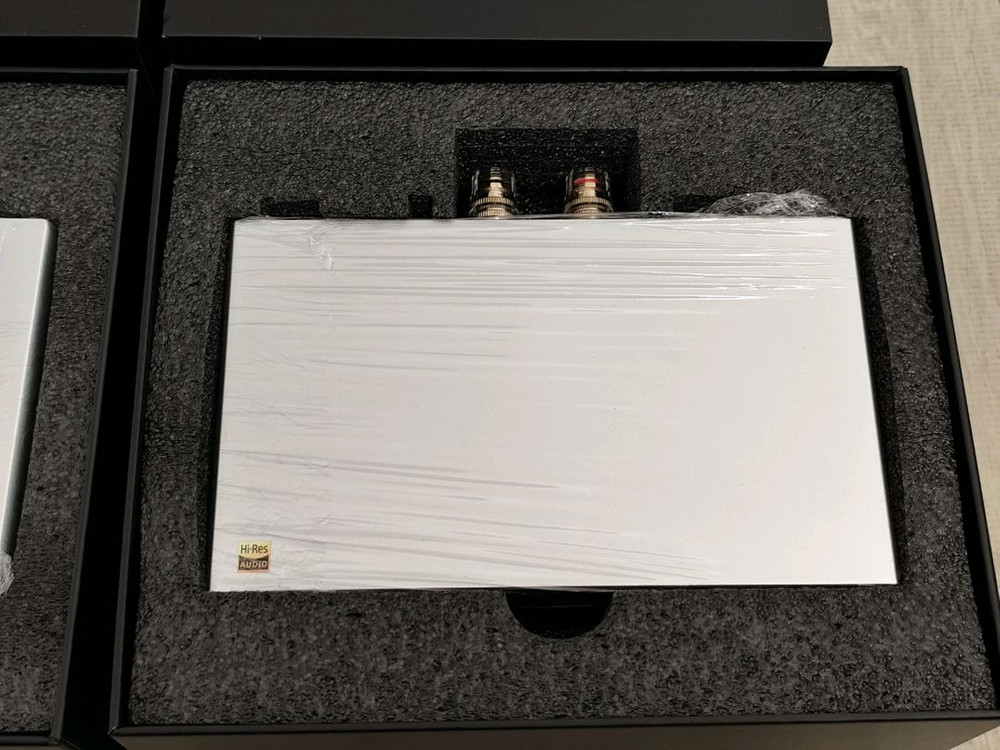 토핑 Topping B100 모노블럭 파워앰프 2개--3