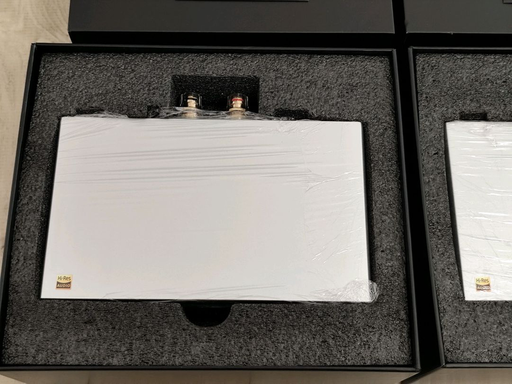 토핑 Topping B100 모노블럭 파워앰프 2개--2