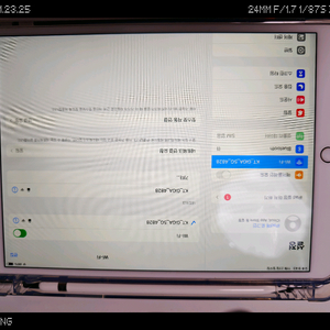 아이패드 프로 2세대 10.5 셀룰러 64gb모델 +애플펜슬