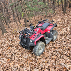 올코트125 사발이