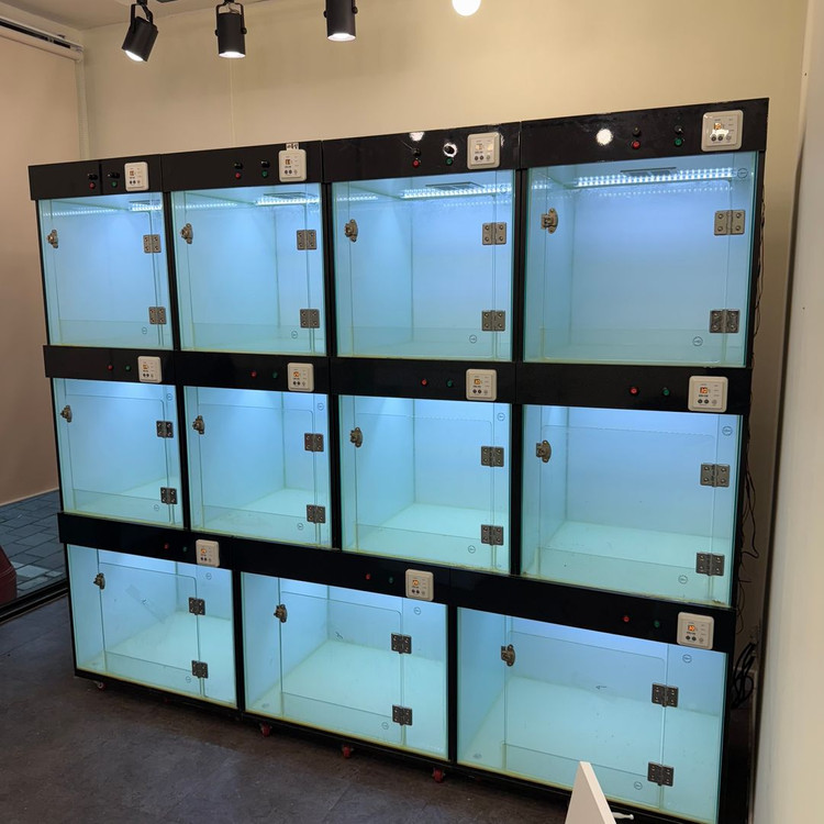 [초S급 분양장 빠른 급처] 강아지 고양이 호텔장 분양장 상태좋음 경기/수도권 이미지