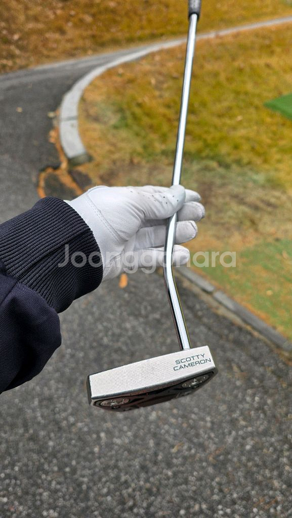 스카티카메룬팬텀9 34인치--3