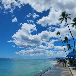 힐튼베이케이션(하와이,라스베가스 등)