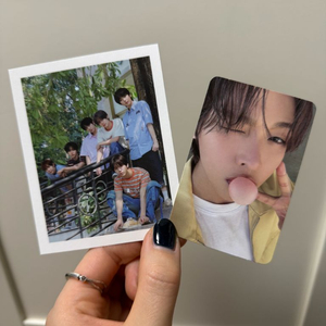 팝츄 리쿠 포카 + 단체 폴라 이미지