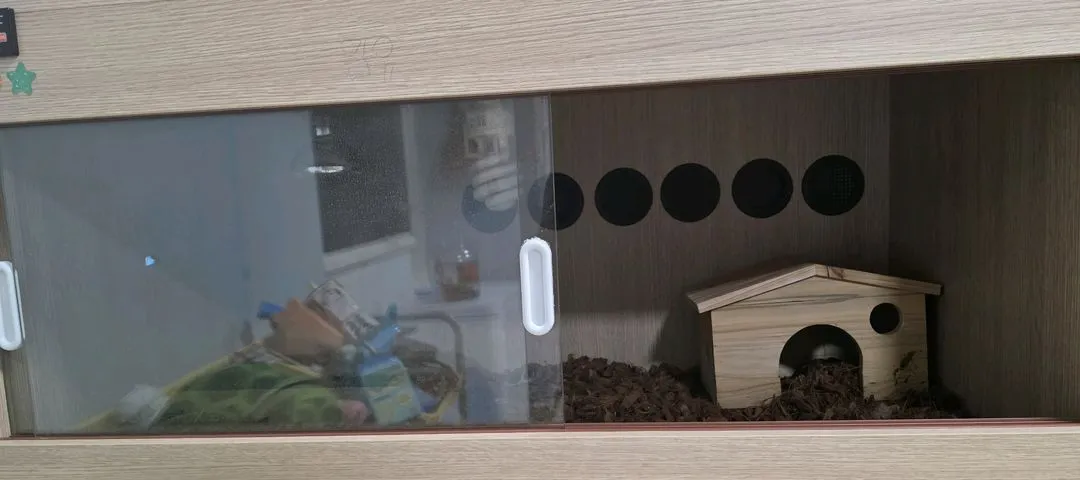 호스필드 육지거북이 이미지