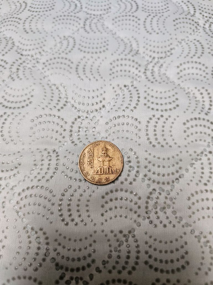 10원 희귀 동전 1970년 이미지