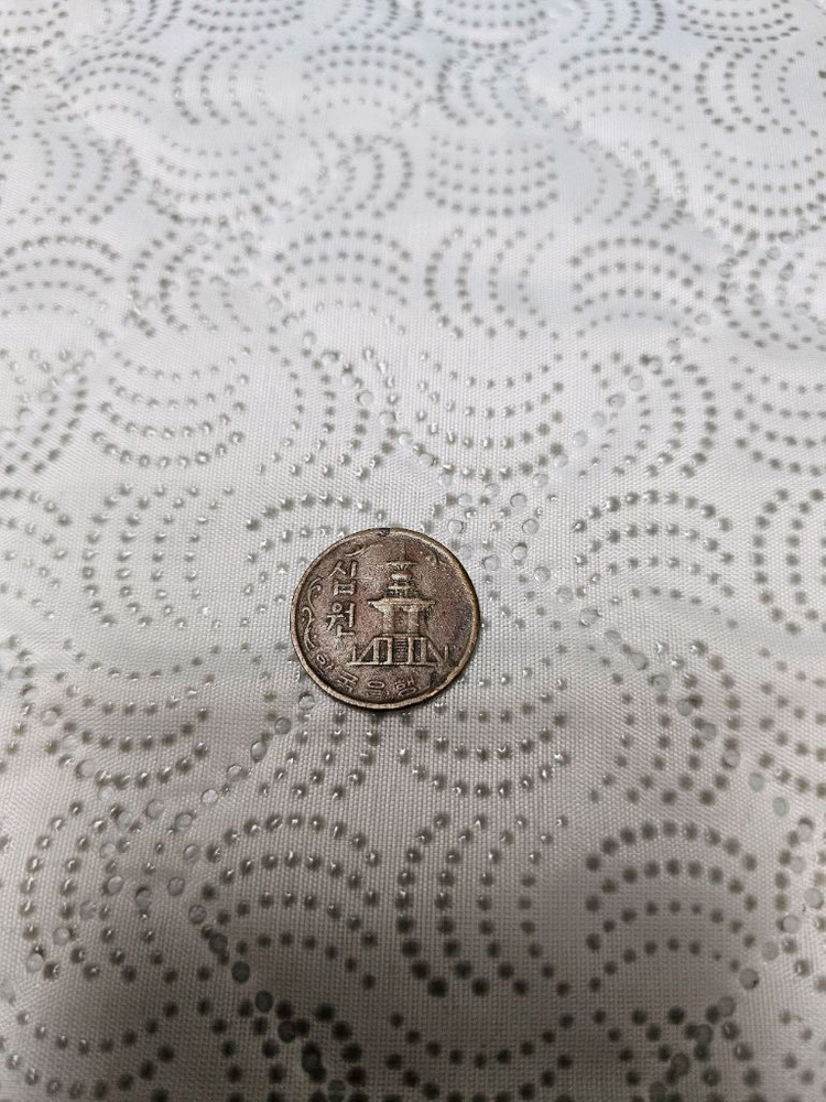 10원 희귀 동전 1970년 이미지