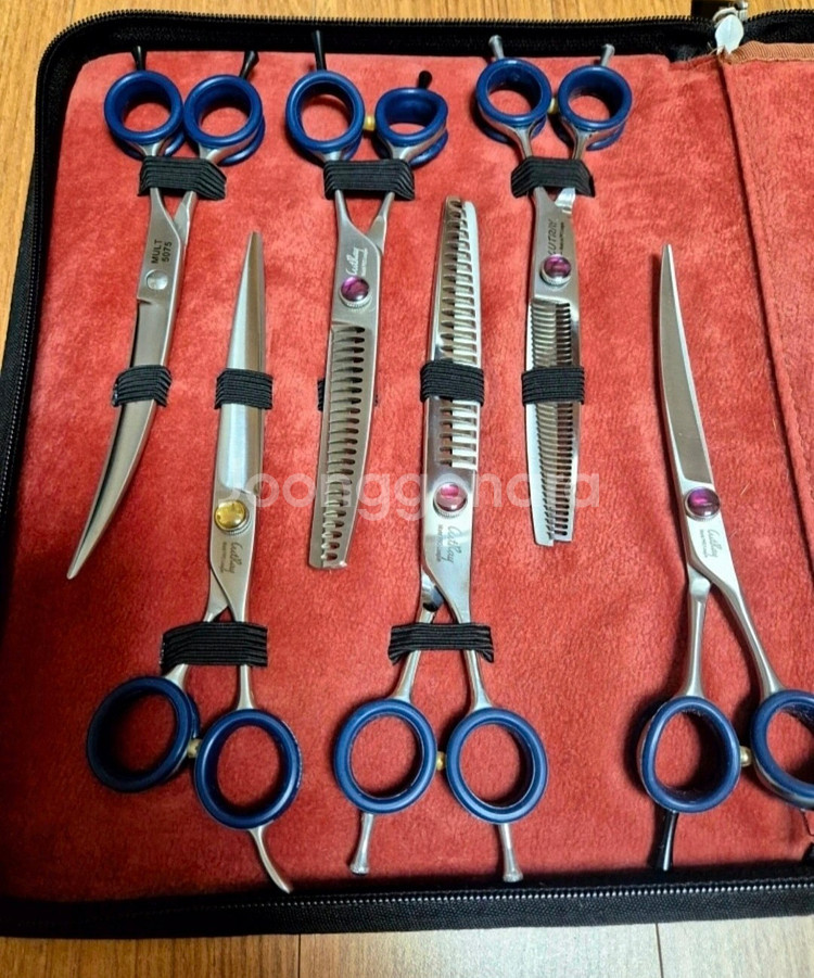 애견미용가위(커티스 6종)--1