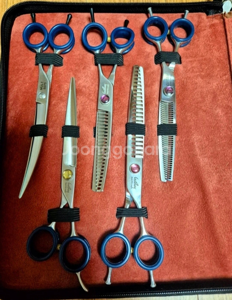 애견미용가위(커티스 6종)--2