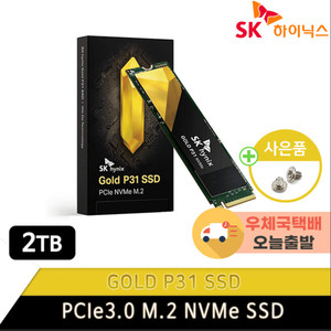 SK하이닉스 Gold P31 SSD 2TB (또는 P41) 구합니다.
